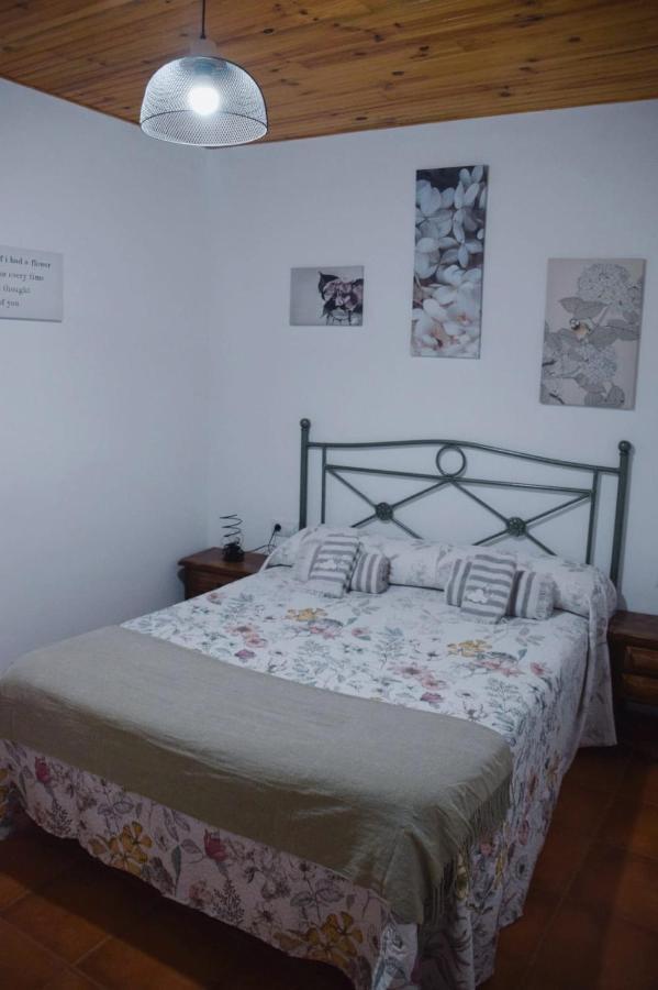 Apartamentos Loli Berga Zewnętrze zdjęcie
